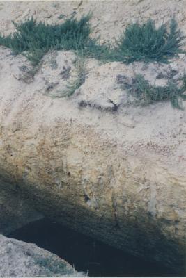 Western Australia, Australia - 242