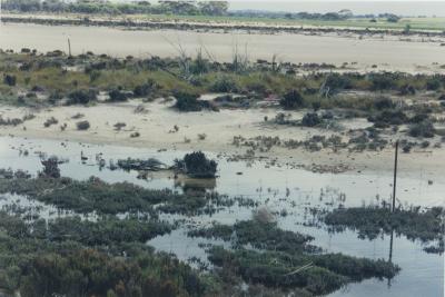 Western Australia, Australia - 248