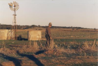 Three Springs, Western Australia, Australia - 003