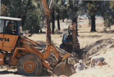 WISALTS Trial Site at Property of AJ (Lex) Hardie, Aliana Grazing Company, Narrogin, Western Australia, Australia - 020