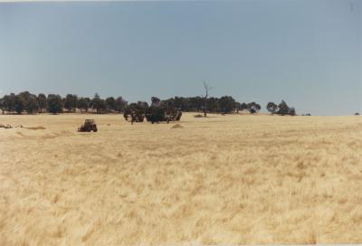 WISALTS Trial Site at Property of AJ (Lex) Hardie, Aliana Grazing Company, Narrogin, Western Australia, Australia - 004