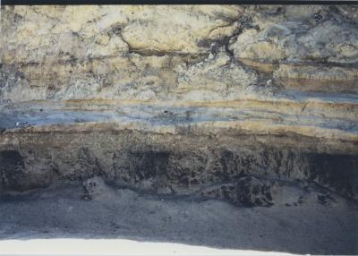 Property of HS (Harry) Whittington, 'Springhill', Brookton, Western Australia, Australia - 104