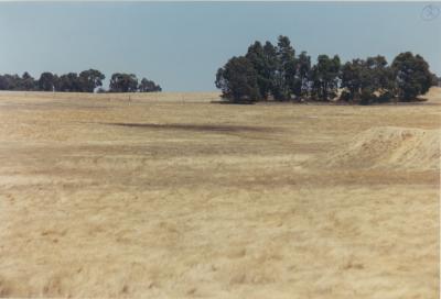 WISALTS Trial Site at Property of AJ (Lex) Hardie, Aliana Grazing Company, Narrogin, Western Australia, Australia - 005