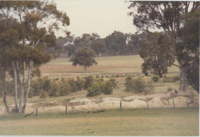 WISALTS Trial Site at Property of AJ (Lex) Hardie, Aliana Grazing Company, Narrogin, Western Australia, Australia - 007