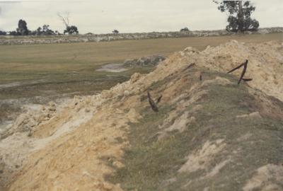 WISALTS Trial Site at Property of AJ (Lex) Hardie, Aliana Grazing Company, Narrogin, Western Australia, Australia - 008