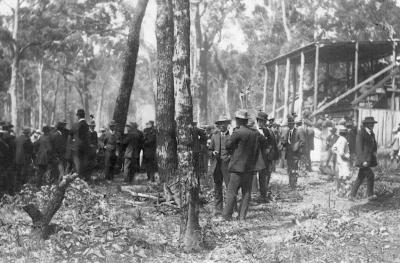 Nannup Telegraph June 2013. Nannup Historical Society Article - The Lower Blackwood Race Club by Neville Tanner. 