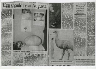 Newspaper article - "The Scott River Egg". 8/9/1993. Augusta Margaret River Mail.