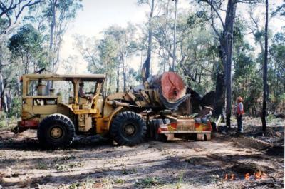 Les Cull loading Jarrah log with Don Clarke