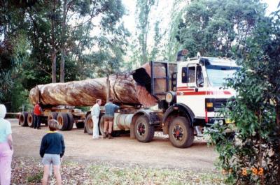 Mick Cockman and Don Clarke remove chains prior to unloading Jarrah log at Nannup Arboretum.