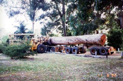 Les Cull unloading Jarrah log.