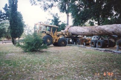 Les Cull unloading Jarrah log.