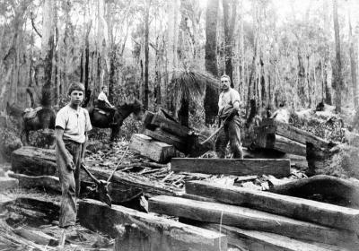 Nannup Telegraph November 2012. Nannup Historical Society Article - The history of Timber Hewers by Neville Tanner. 