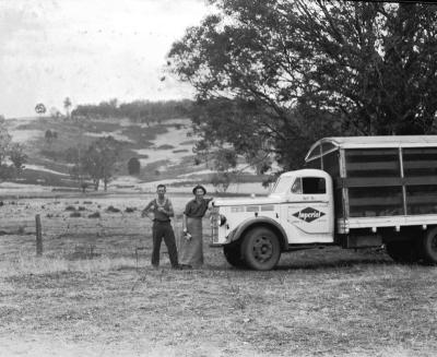 Scott White and David Dunnet "Imperial" truck used to collect rabbits in the area. Circa 1949.