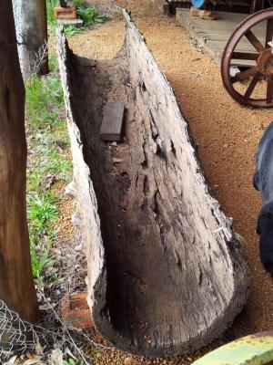 WATER TROUGH FROM HOLLOW LOG