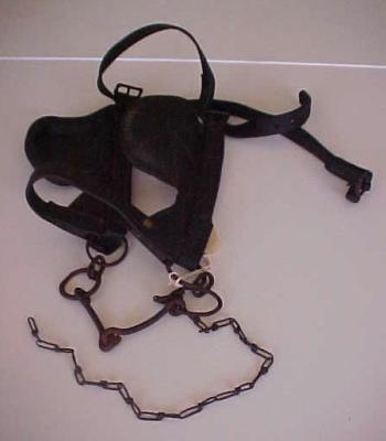 BRIDLE AND BLINKERS