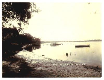 Beach, Freshwater Bay