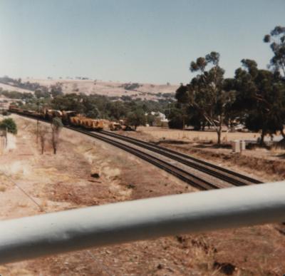 STANDARD GAUGE RAILWAY CONSTRUCTION, TOODYAY 1964