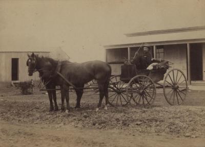 MAN IN HORSE DRAWN CARRIAGE