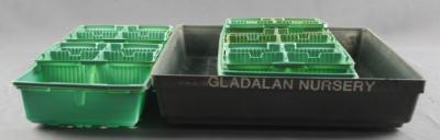 GLADALAN PUNNET TRAY HOLDER