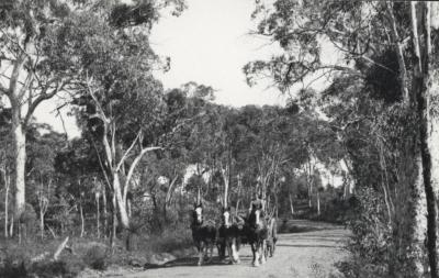 THREE HORSES, WAGON AND DRIVER