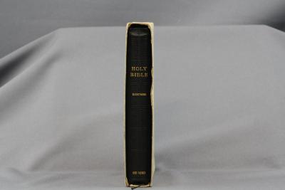 ILLUSTRATED BIBLE
