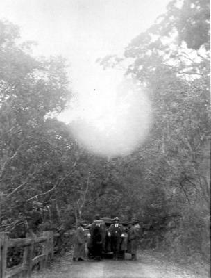 Philip Collier and others on a forest road.