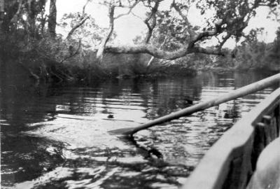 King River, 1926.