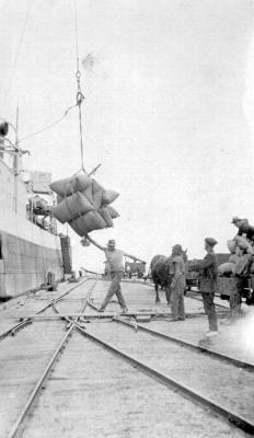 Wharfies loading wheat onto ship, Esperance.