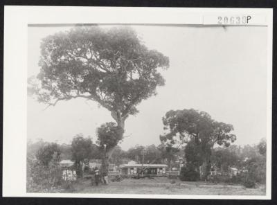 PHOTOGRAPH (COPY): SUBIACO RAILWAY STATION, 1894
