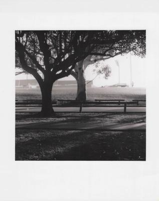 PHOTOGRAPH: MUELLER PARK, SONYA SEARS, 1997