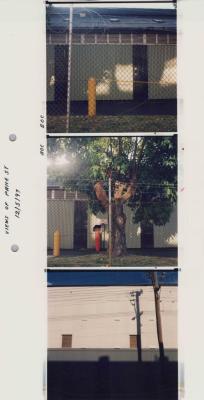 PHOTOGRAPH (PROOFS): VIEWS OF BOC GASES, LORDS AND PRICE STREET, SONYA SEARS, 1997