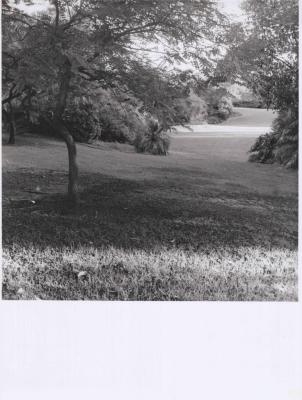 PHOTOGRAPH: AXON PARK, SONYA SEARS, 1997