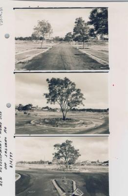 PHOTOGRAPH (PROOF SHEET): REDEVELOPMENT OF HUME SITE, SONYA SEARS