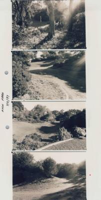 PHOTOGRAPH (PROOF SHEET): VIEW OF AXON PARK, SONYA SEARS