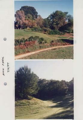 PHOTOGRAPH (PROOF SHEET): VIEW OF AXON PARK, SONYA SEARS