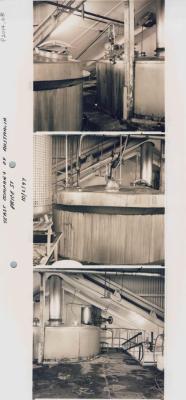 PHOTOGRAPH (PROOF SHEET): INTERIOR OF YEAST COMPANY OF AUSTRALIA, SONYA SEARS