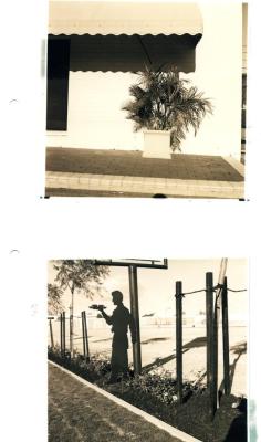 PHOTOGRAPH (PROOF SHEET): ARCUS BUILDING FRONT AND HUME SITE SCULPTURE, SONYA SEARS