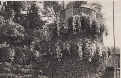 PHOTOGRAPH: RANKIN GARDENS WITH WATER TOWER CIRCA 1936