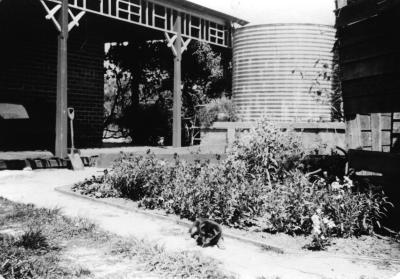 Water tank at Wilkinson Homestead