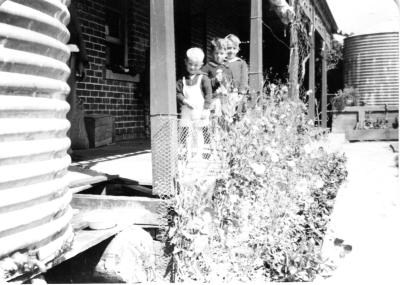 Steve, Don & Neil Wilkinson on verandah