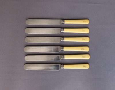 SMALL KNIVES X 6