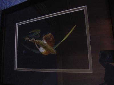 NEEDLE PAINTING, PICTURE