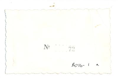 Princess of Wool Ball Ticket