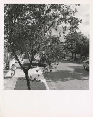 PHOTOGRAPH: WOODEN HOUSE YILGARN STREET, BICENTENNIAL COLLECTION, EDITH COWAN STUDENTS