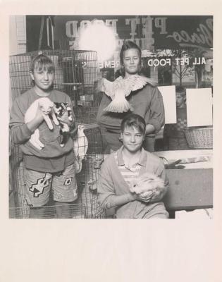 PHOTOGRAPH: SUBIACO PET SHOP, BICENTENNIAL COLLECTION, EDITH COWAN STUDENTS