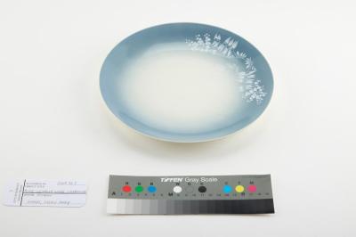 PLATE: WEMBLEY WARE, WILDFLOWER PATTERN