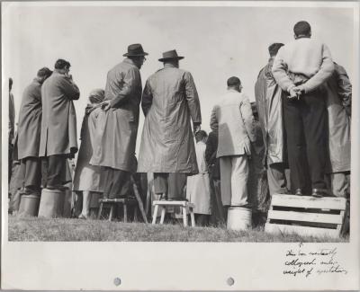 PHOTOGRAPH: 'SPECTATORS AT SUBIACO OVAL', EARLY 1960'S