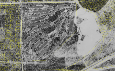 COURSE AERIAL VIEW WITH SURROUNDS 1974