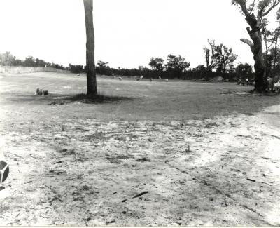 WORKING BEE PARTICIPANTS 1968