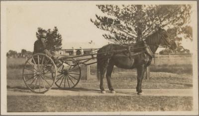 PHOTOGRAPH (DIGITAL COPY): HARROLD LEADING HORSE AND CART, SYDNEY, WHITE FAMILY